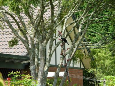 Clover Downs Homestead Роторуа Екстериор снимка